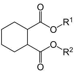Влияние фталатов на здоровье человека